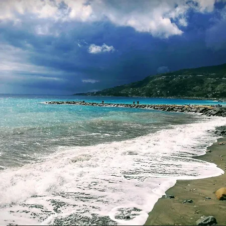 Amazing Sea 